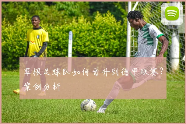 草根足球队如何晋升到德甲联赛?案例分析