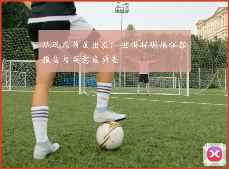 从观众角度出发：世俱杯现场体验报告与满意度调查