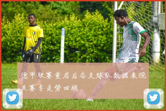 德甲联赛重启后各支球队数据表现及赛季走势回顾