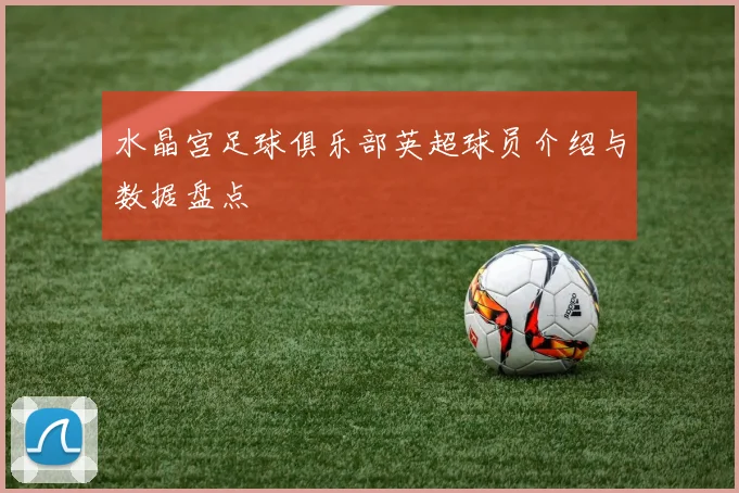 水晶宫足球俱乐部英超球员介绍与数据盘点